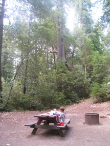 Jake during his morning routine of playing with his building set at our Hidden Springs campsite in Humboldt Redwoods State Park.
